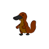 Platypus Human Shell