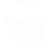 Reise Flugzeug Pilot Spruch
