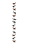 Aussie Alphabet
