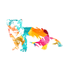 Ferret