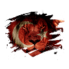 Turkey Flag & African Lion Picture