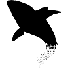 hai black