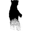 baer black