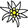 Edelweiss