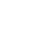 Bird Illustration