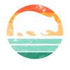 Wombats Wombats