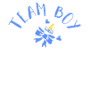 Gender revelation team boy boy