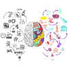 Brain