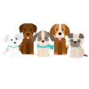 Dog dogs family pet
