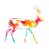 Gazelle