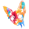 Sphynx gift