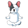Fransk Bulldog Fransk Bulldog gave