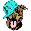 American Bully XL-Musiknote-Hip Hop-Capi-Microphon