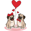 Cuore dolce di amore dei cani del carlino di amore delle coppie del carlino