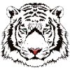 tiger head fancy design