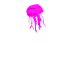 Party jellyfish from Malle