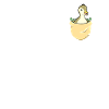 Petit canard Canard Mignon Canards