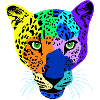 Colourful safari