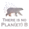 No Planet B – Eisbär Klimawandel Statement