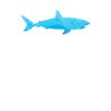 requin