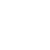 Master of Science weiss