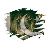 Pakistan Flag & African Lion Picture