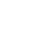 Retro Brachiosaurus print, Dinosaur Tee,