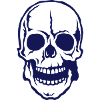 Death head skull 25067