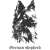 Deutscher Schäferhund