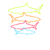 sharks