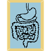 medical intestine 2 d1