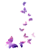 Butterfly swarm harmony pink