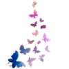 papillon essaim harmonie bleu rose