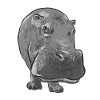 Hippo