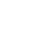 Future judge