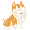 Dog Corgi