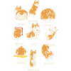 Corgi s