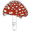 Toadstool toadstool amanita