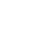 Grizzly bear