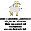 schaefchen