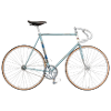 fixed gear bike