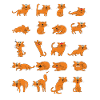 Cat Cats Gift