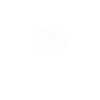 MMA