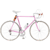 racing bike 80s