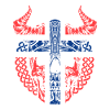 Norvegia Norwegian Viking Flag Skull Skull