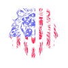 USA America flag lion