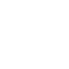 King lion crown