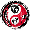 martial arts 04