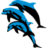 Dolphins - dauphins