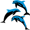 Dolphins